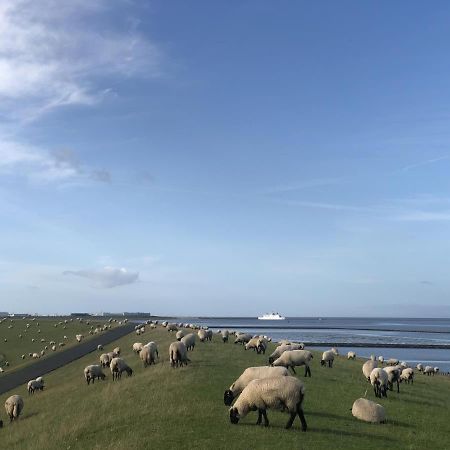 Wind Und Meer - Traumhaft An Der Nordsee Norddeich  Extérieur photo