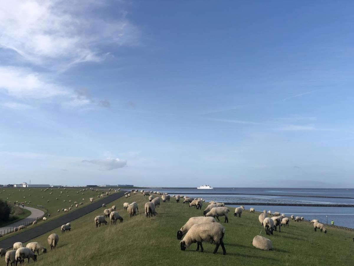 Wind Und Meer - Traumhaft An Der Nordsee Norddeich  Extérieur photo